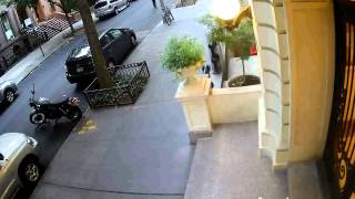 Newspaper Thief