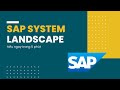 Hiểu Ngay SAP System Landscape Chỉ Trong 5 Phút