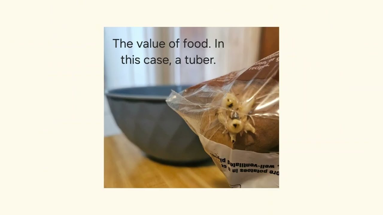 God provides the food fit for human consumption because God is love. 