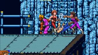 Double Dragon Advance Glitch