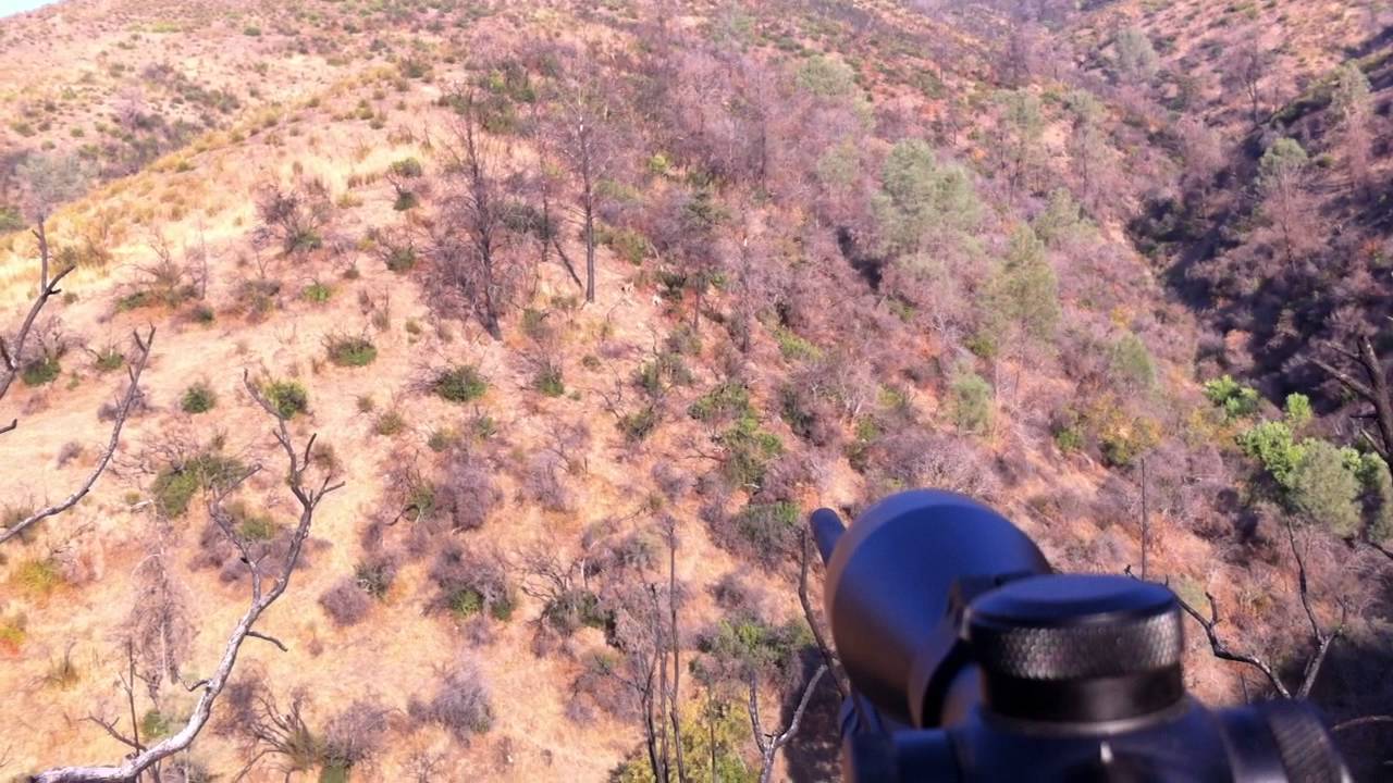 Hmong Hunting A-Zone 