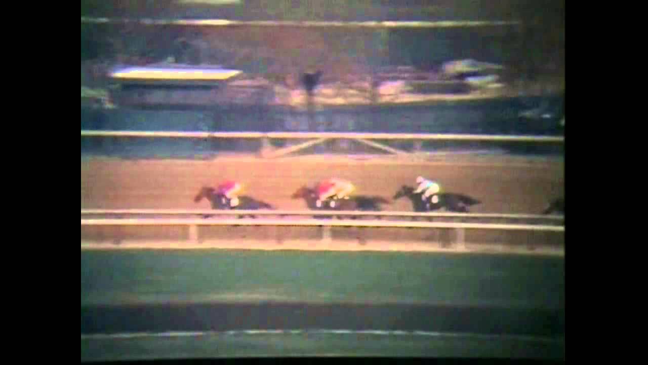 GOOD BEHAVING - WOODMEMORIAL 1971 (No Audio)