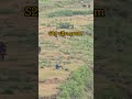 Samsung galaxy s25 ultra 20x zoom test 😱 #S25Ultra#ZoomTest#viralvideo #shorts#s24ultra #zooming