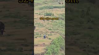 Samsung galaxy s25 ultra 20x zoom test 😱 #S25Ultra#ZoomTest#viralvideo #shorts#s24ultra #zooming