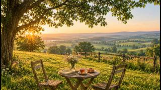 sunny morning piano peace ☕ relaxing piano playlist for study, journaling & deep focus
