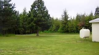 1343 Hoop Loop Rd video tour