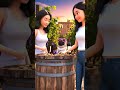 Pug’s Vineyard Adventure: Grapes, Giggles &amp; a Sweet Ending!