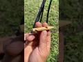 AMAZING UMBRELLA Slingshot DIY #diy #shortvideo #shorts
