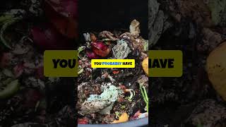 How To Fix Stinky Compost Fast!