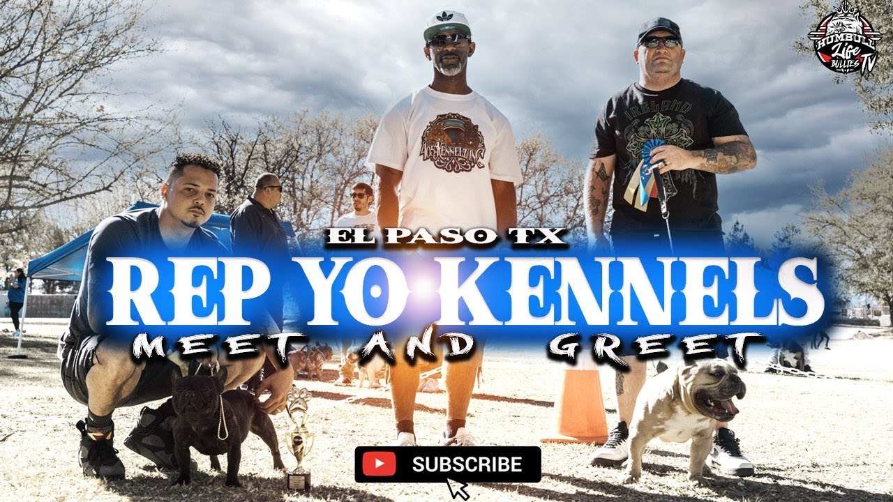 Rep You Kennels El Paso TX meet and great YouTube