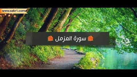 سورة المزمل كاملة للقارئ وديع اليمني
