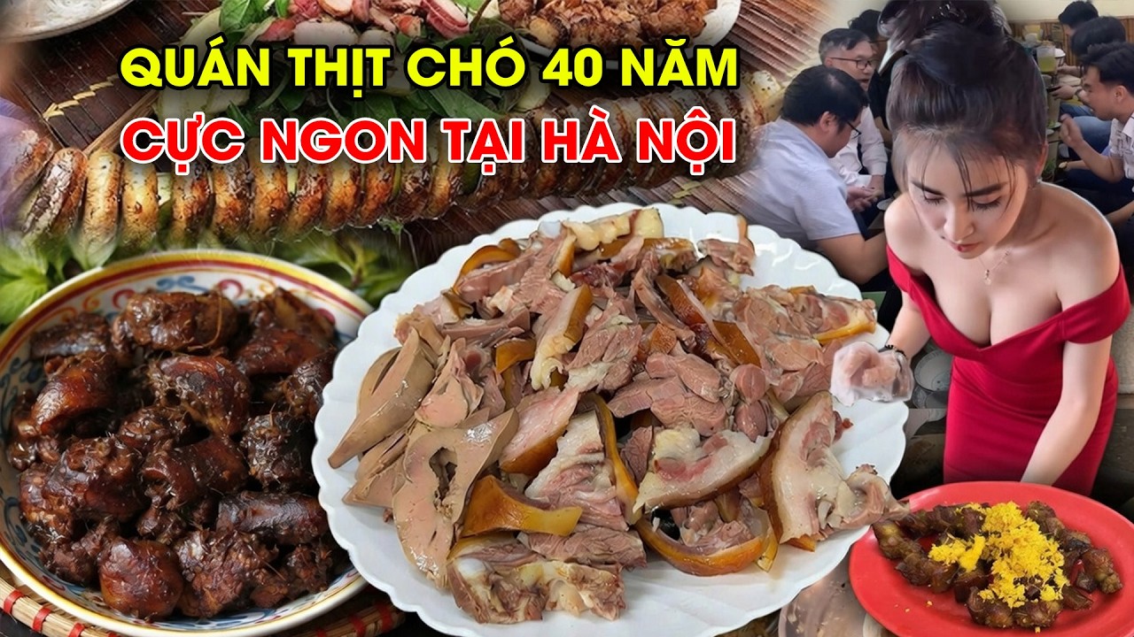 Quán thị chó Trôi ngon rẻ hơn 40 năm tại Miền Bắc cực ngon