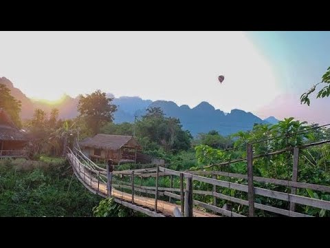 ดอกฟ้าราตรี - วันไชสมสุก