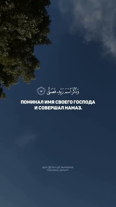 Сура: «Аль-А’ля» Аяты: 8-19 Чтец: Арби Шишани - YouTube