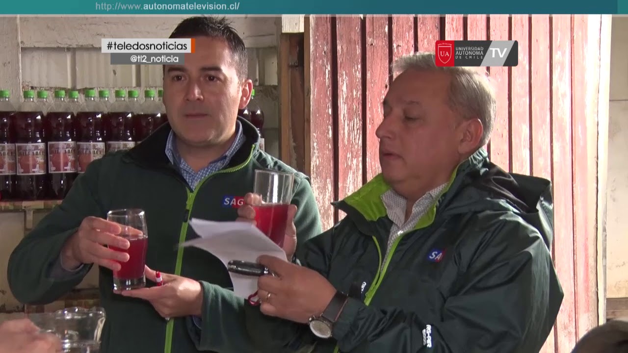 SAG inició fiscalización de la tradicional chicha de uva