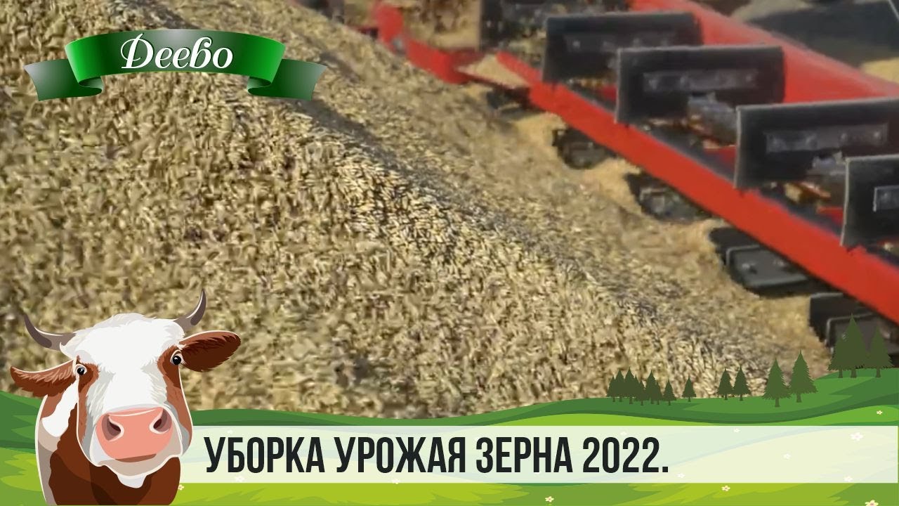 Урожайность 2022 года