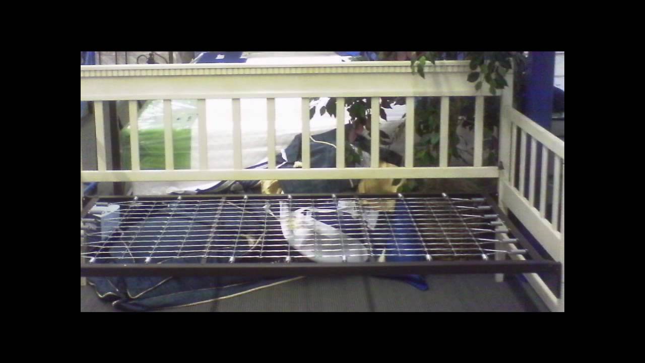 Sleep Prozzz - Weekly Special___  Foam Encased Pocketed Coil Plush & Daybed___week of 12-13-10