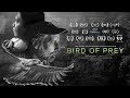 Philippine Eagle Conservation Quiz