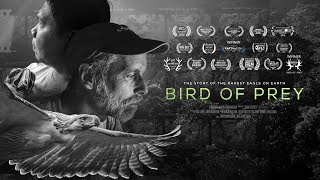 Bird Of Prey Movie: Trailer 