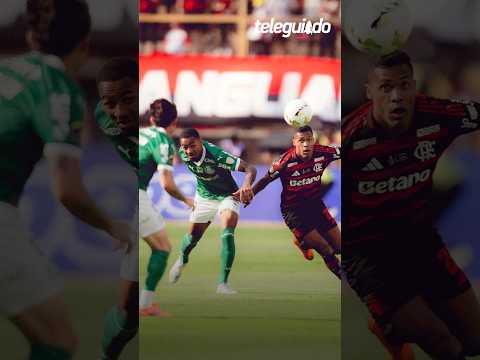 A AUDIÊNCIA DA FINAL DA LIBERTADORES. #FLAMENGO #PALMEIRAS #TVGLOBO #LIBERTADORES #AUDIENCIA