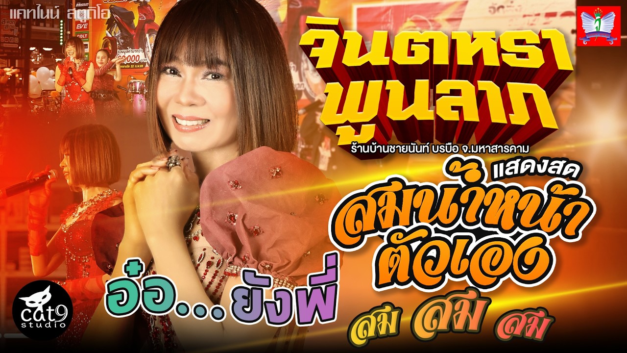 แสดงสด - จินตหรา พูนลาภ  Jintara Poonlarp - ร้านบ้านชายนันท์ บรบือ จ.มหาสารคาม 【OFFICIAL LIVE】