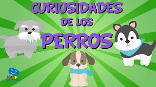 Curiosidades de los Perros | Videos Educativos para Niños.