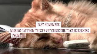 Trusty vet clinic - Fraud- Scam- Fake Google Receive --Animal cruelty