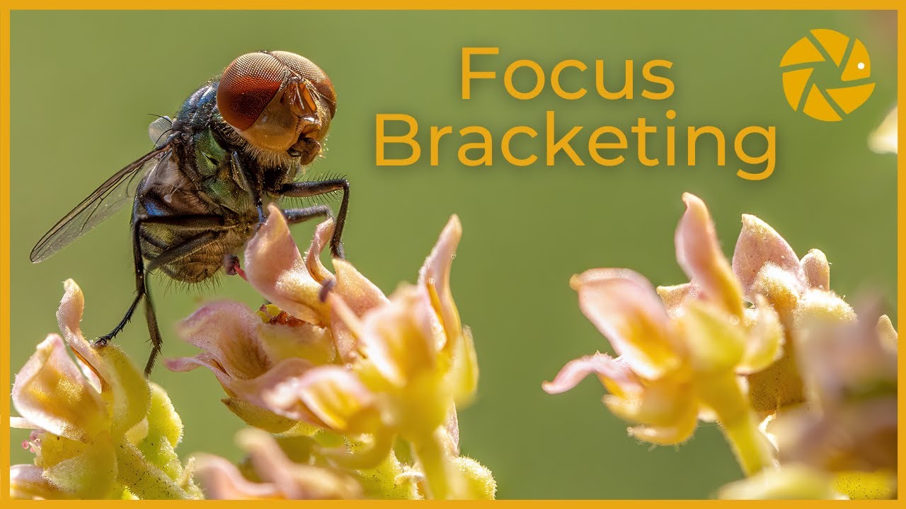 Focus Bracketing SETTINGS And Step By Step EDIT Focus Stacking Focus Bracketing SETTINGS And Step By Step EDIT Focus Stacking