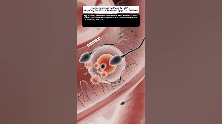Understanding Egg Maturity in IVF: Why Only 70-85% of Retrieved Eggs Can Be Used