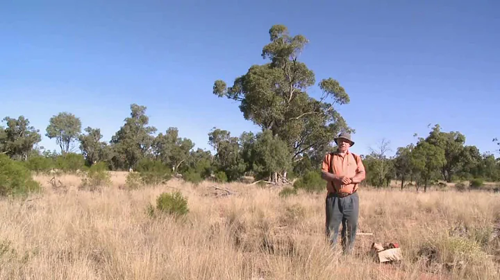 Through Our Eyes - Sustaining Animal Populations w...