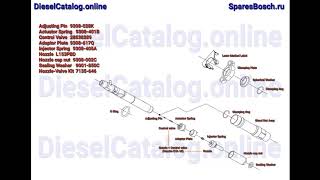 R05101D Injector Common Rail DELPHI (RENAULT/NISSAN/DACIA)
