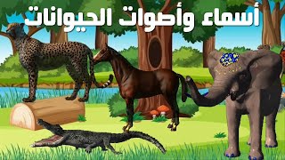 تعليم أسماء وأصوات الحيوانات للأطفال باللغة العربية - 2-The names and sounds of animals for children