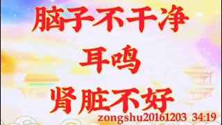 卢台长开示:脑子不干净;耳鸣,肾脏不好zongshu20161203 34:19
