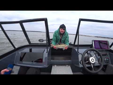 windboat 45 dc evo fish и мое мнение за 3 месяца