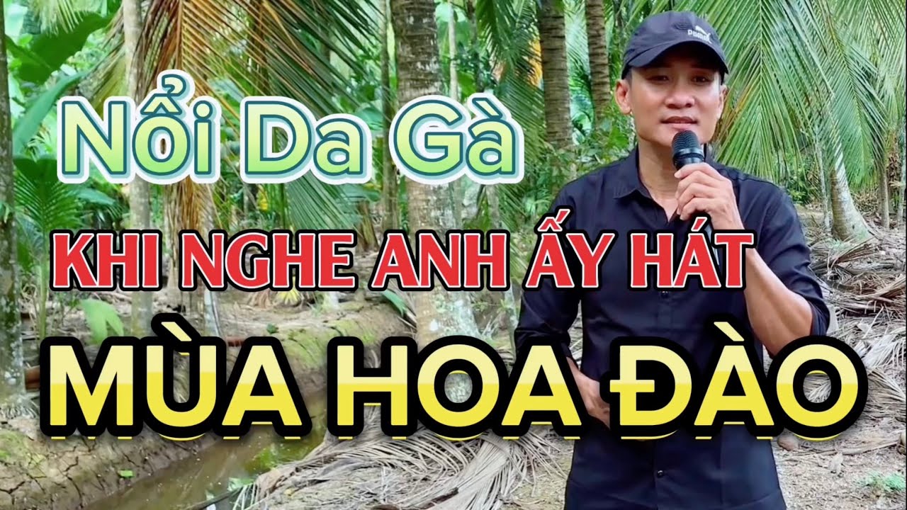 Mùa Hoa Đào - Anh nông dân hát mà cứ tưởng hàng xóm mở đĩa