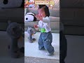 Talking Tom Cat Toy Make Learning To Talk And Dance Exciting For Your Baby TalkingToys 
