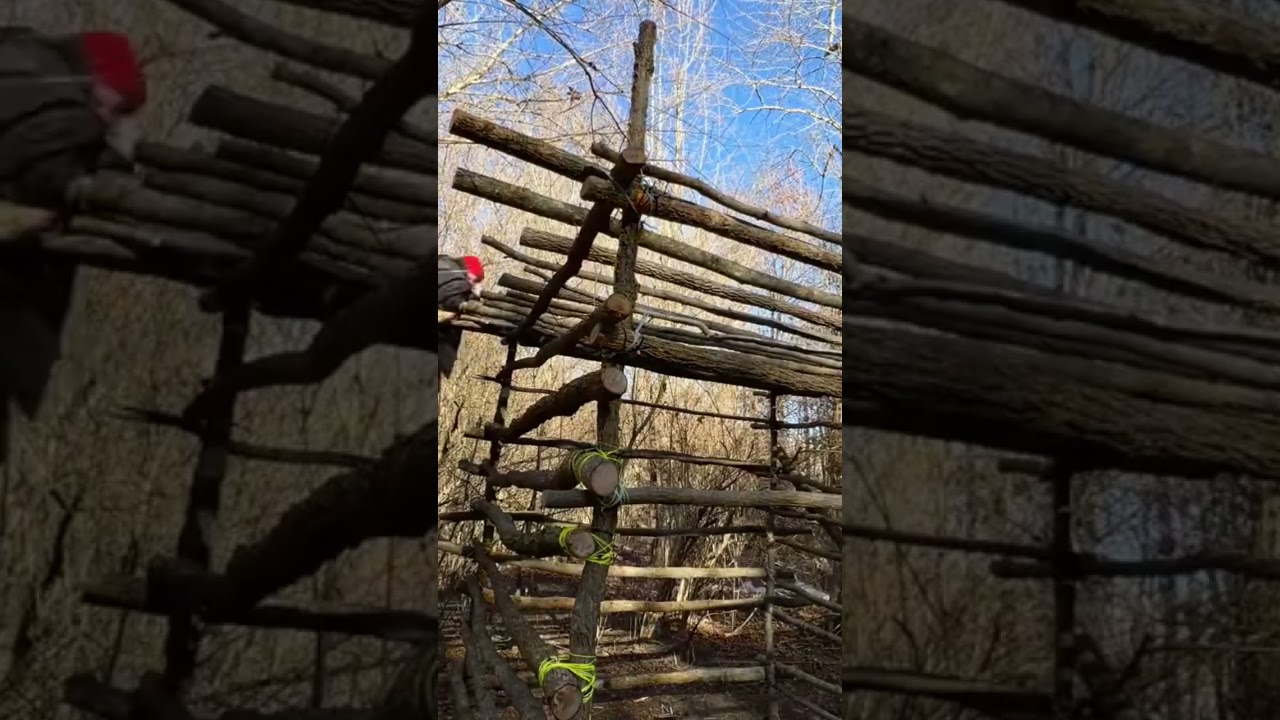 Primitive shelter build 