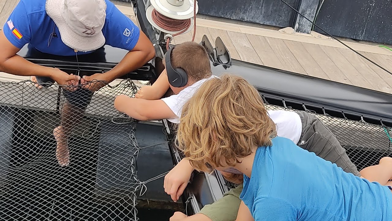 ⁣BEAUTIFUL, STRONG AND DURABLE - THE BEST NETTING FOR CATAMARANS