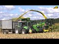 Maishckseln 2022 maisernte maishcksler 7380 traktor kuh futter landwirtschaft farmer corn harvest