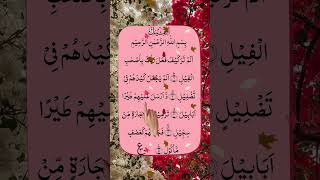 Surah Al-Fil🌸| Allah’s Protection of the Ka‘bah | سورة الفيل #shorts