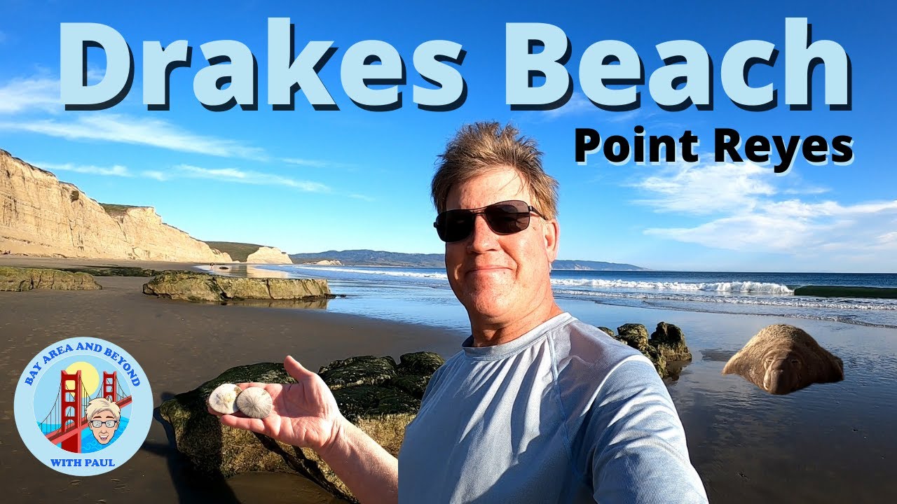 Drakes Beach in Point Reyes, Northern California YouTube
