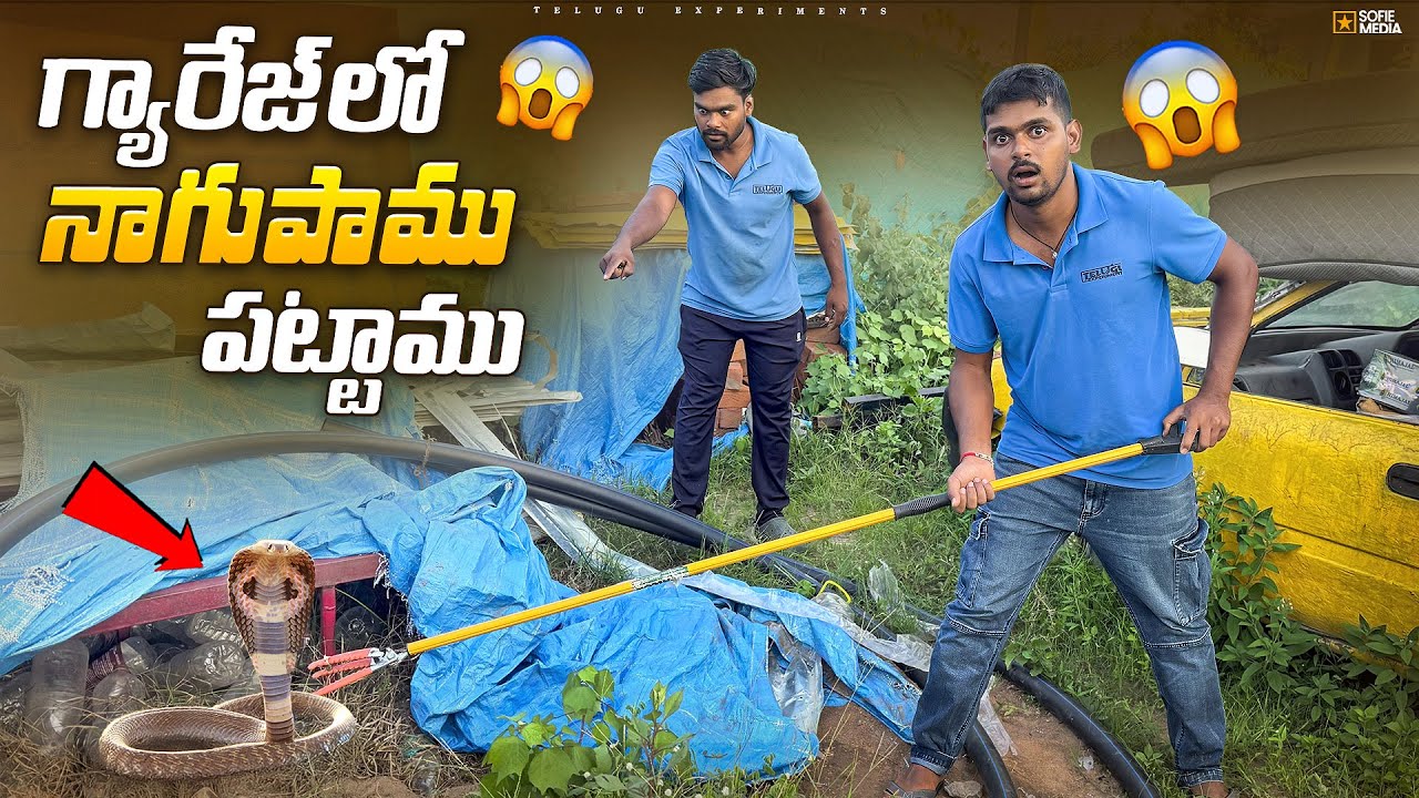 గ్యారేజ్ లో నాగుపామును పట్టాము...😱😱 Telugu Experiments Vlogs