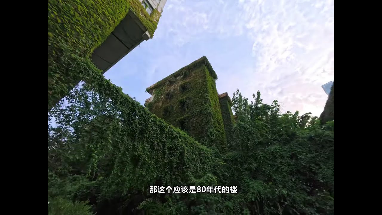 在时光中静止的校园（下） 