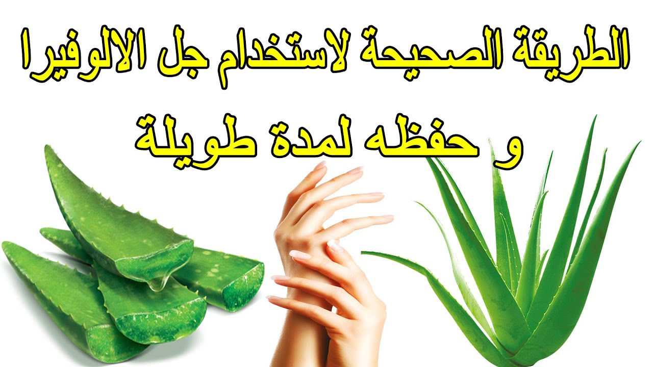 أفضل طريقة لاستخدام جل الالوفيرا و حفظه لمدة طويلة