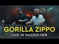 Gorilla zippo  live in gazgolder