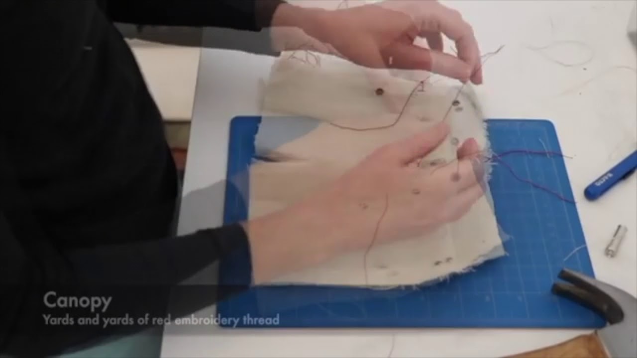 Kate Fitzpatrick - VIsual Artist