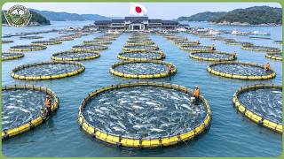 Download lagu Japan’s Biggest Harvest Season 2026 – How Japanese Farmers Harvest Millions of Tons of Food