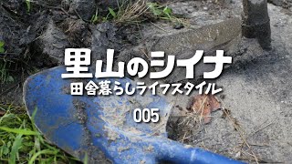 田舎暮らし 005 梅雨 水路作り 古民家の金属処分 夕暮れの里山