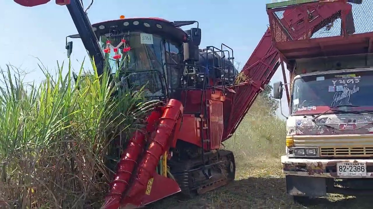 รีวิว NEW รถตัดอ้อย ล้อแทรค CASE 9900 ใหม่แกะกล่อง  เร็วจัด ค่าตัวสิบสี่ล้าน sugar cane harvaster