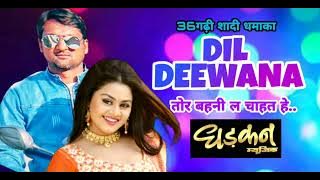 DIL DIWANA TOR BAHNI LA CHAHAT HE | दिल दीवाना तोर बहनी ल चाहत हे | Dhadkan Music | 2024 Shadi Song